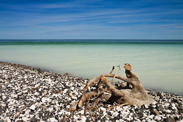 Die Ostseeküste auf Rügen.