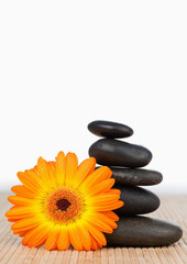 Fototapeta na wymiar An orange sunflower and a black stones stack