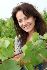 Portrait of smiling winegrower in vineyard