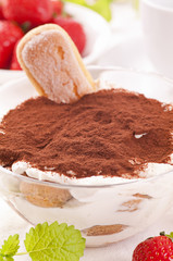 Tiramisu dessert