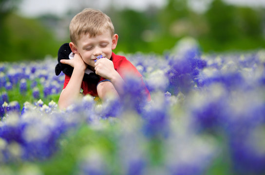 Boy Smelling Bluebonnet Flowers
