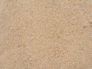 Brown sea sand grains on beach closeup as background