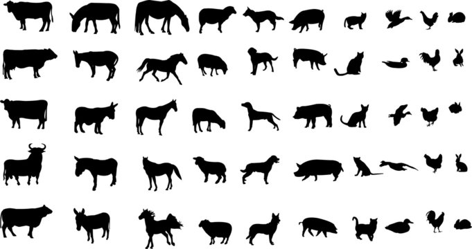 collection of farm animals silhouettes - vector