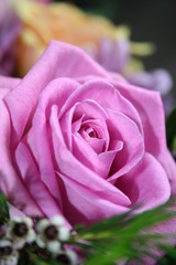Blume