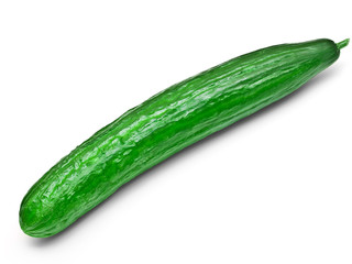 single cucumber isolated on white background