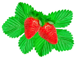 strawberry isolated on white background