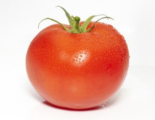 pomodoro con gocce di rugiada