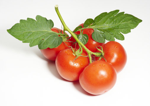 grappolo di pomodori