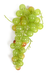 grape