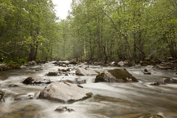 River landscape, wide angle
