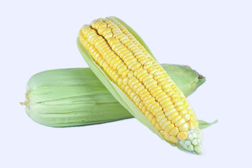corn isolated on white