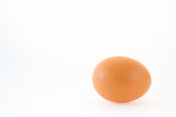 Chicken Egg