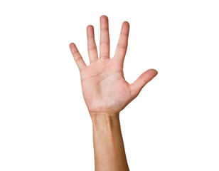 Female hand with outstretched fingers. Isolation on white