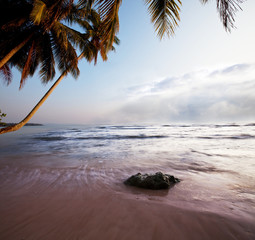 Tropical beach