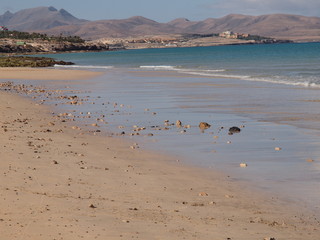 Strandspaziergang