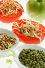 Germes de blé et soja