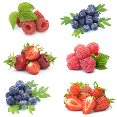 Obraz na płótnie Canvas collection of fresh fruits