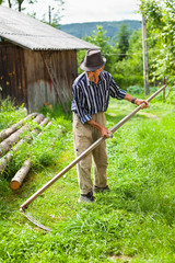 Old rural man using scythe