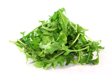 Rucola