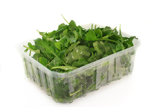 Rucola