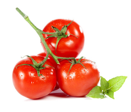 tomates en grappe avec feuilles de basilic