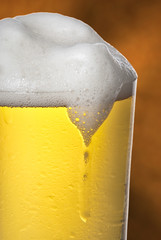 beer