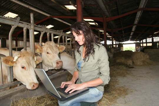 Veterinarian in barn with laptop computer