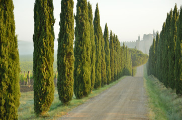 Toscana