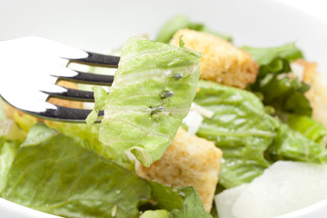 A green salad with croutons and cheese