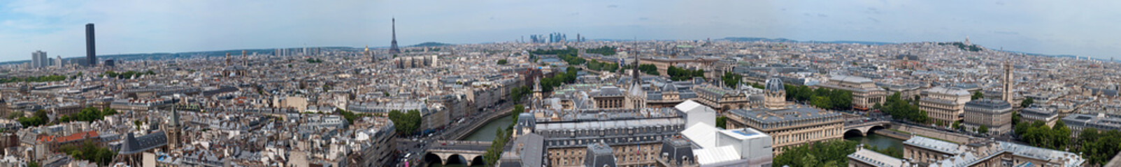 Fototapeta na wymiar Panorama Paryża z Notre Dame. Francja