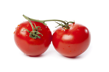 Red tomatoes on a white background