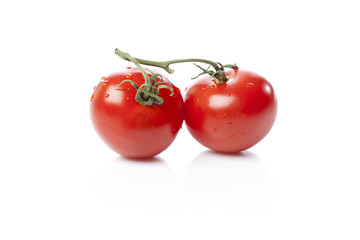 Red tomatoes on a white background