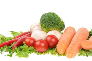 green salad  carrot musrooms pepper isolated on white background