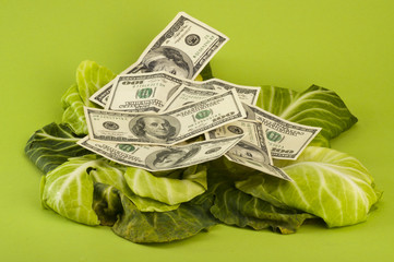 creative money concept