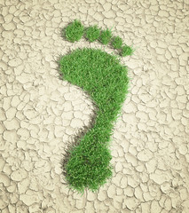 Ecological footprint - grass patch footrpint