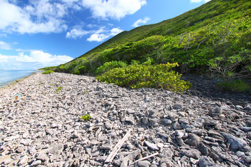 Virgin Islands Coastline