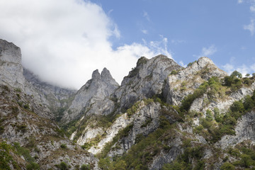 Fototapeta na wymiar Beyos Gorge (Picos de Europa)