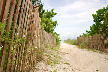 Pathway to Tropical Beach