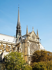 Fototapeta na wymiar The Seine of Notre Dame in Paris , France