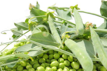 Obraz premium peas