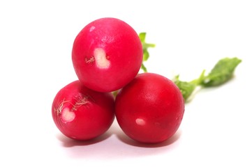 Radishes
