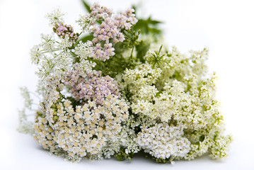 букет полевых цветов © denova0