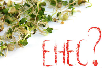 Ehec in Sprossen?