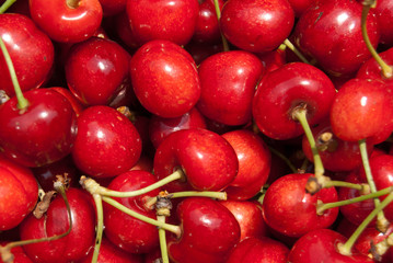 cherry