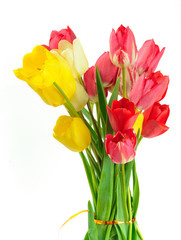 bouquet of tulips on white background
