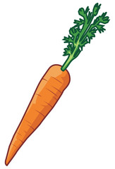 carrot