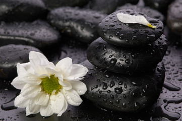 Obraz na płótnie Canvas balanced stones and flower