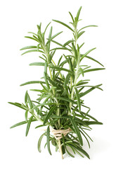 tied rosemary twigs