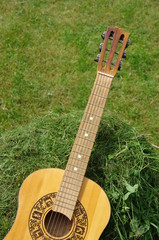 Gitara leżąca na trawie
