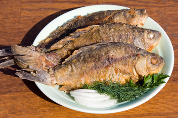 Fried fish crucian in plate